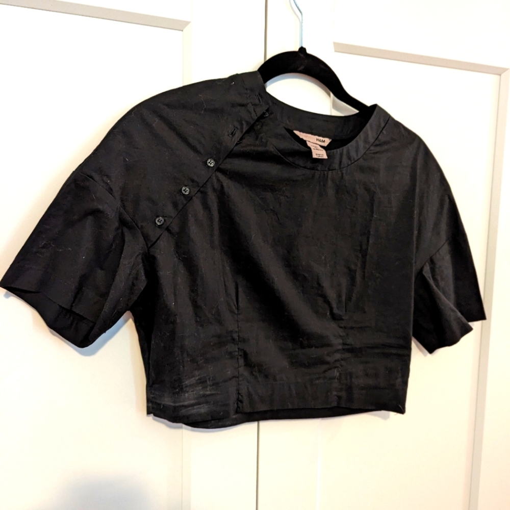 Artist Style Crop Top